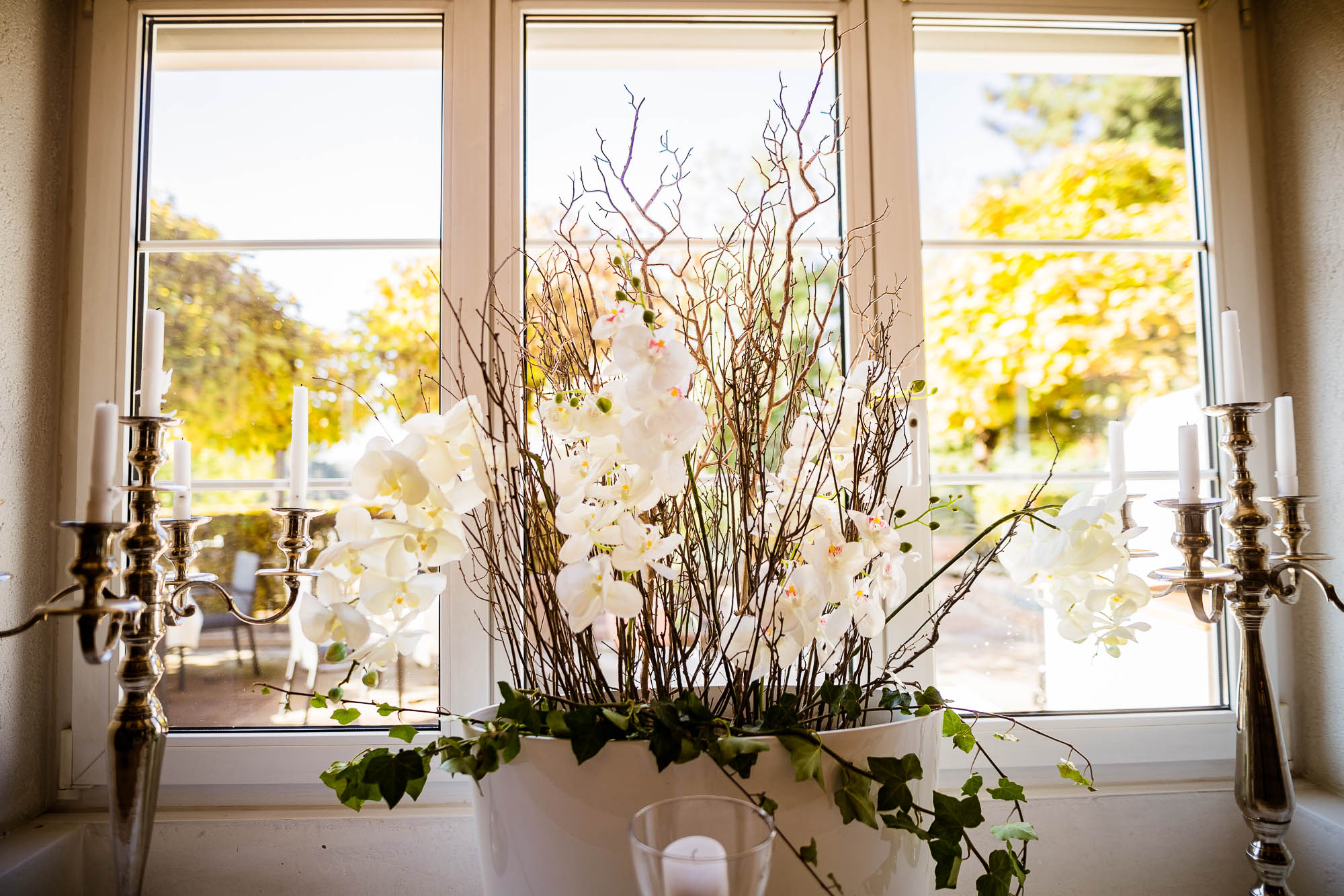 Export x3 1DX26763 Hochzeit 2019 Tatjana und Hermann